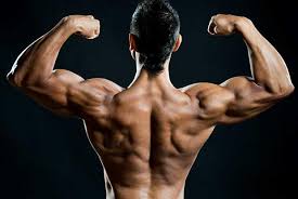 How are anabolic steroids used?