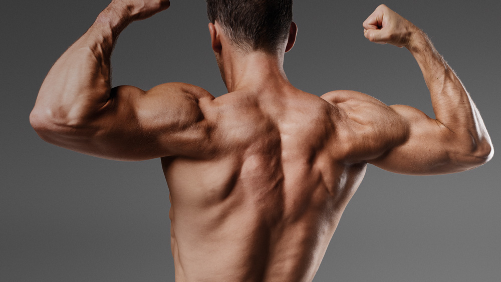 Order Anadrol Pills for Muscle Mass Improvement